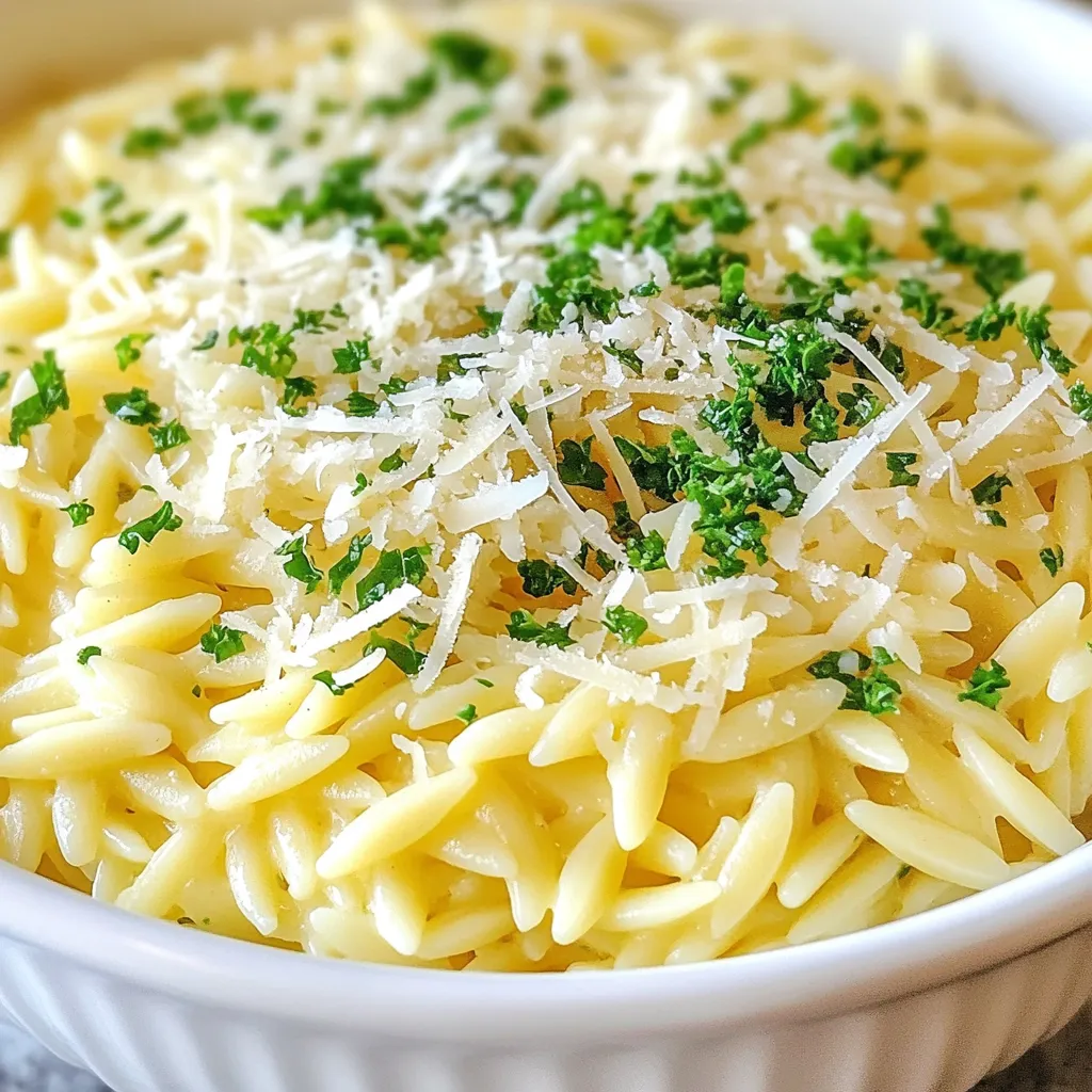 Creamy Garlic Parmesan Orzo Simple and Quick Recipe